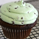 Chocolate Mint Cupcake